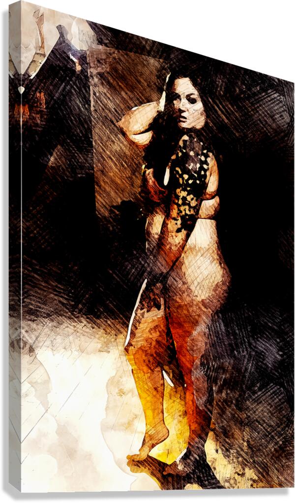 Veiled Shadowed Canvas Print
