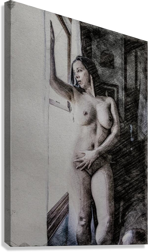 Shadowed Grace Canvas Print
