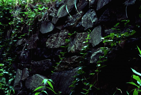 Stone Wall Print