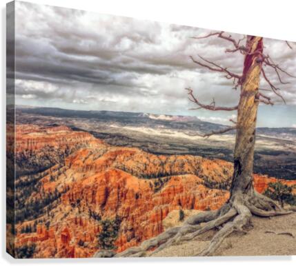 Bryce Canyon Canvas Print