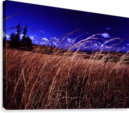 Western Sky Canvas Print
