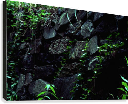 Stone Wall Canvas Print