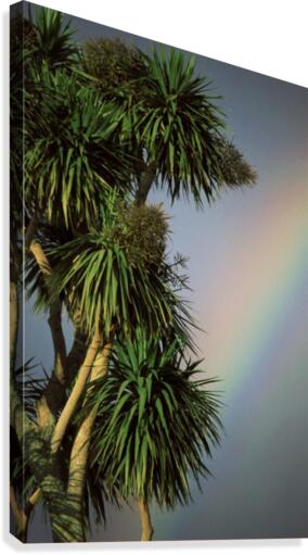 Tropical Rainbow Canvas Print