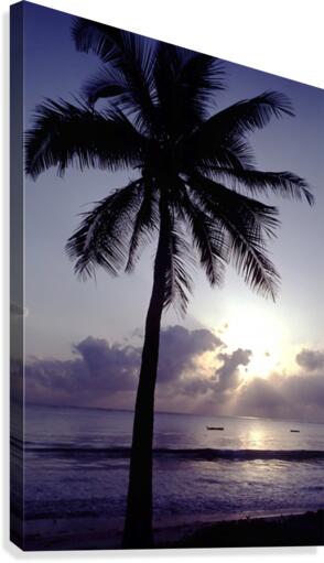 Amethyst Waves Canvas Print