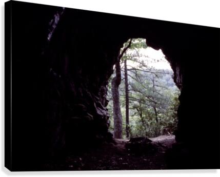 Forest Cave Canvas Print