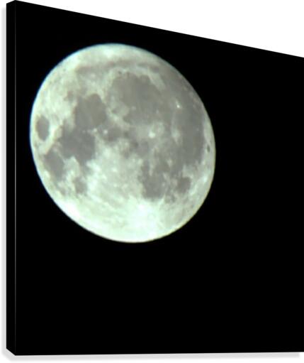 Full Moon Canvas Print