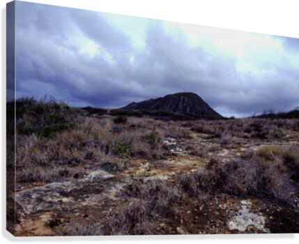 Gathering Storm Canvas Print