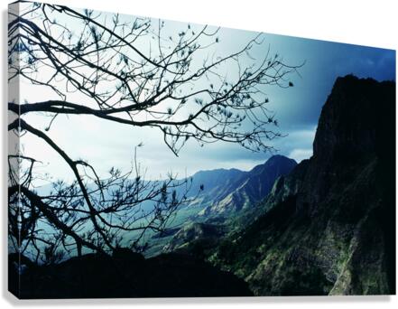 Overlook Canvas Print