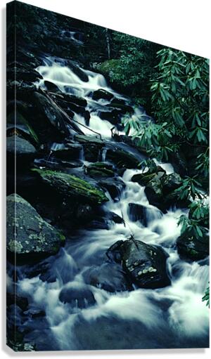 Black Mountain Flow Canvas Print