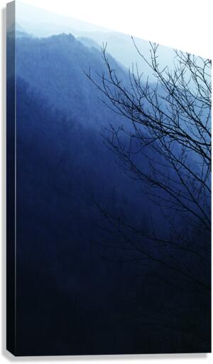 Cold Mountain Canvas Print