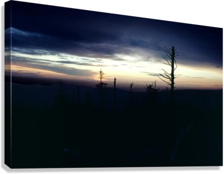 Sunset Silhouette Canvas Print