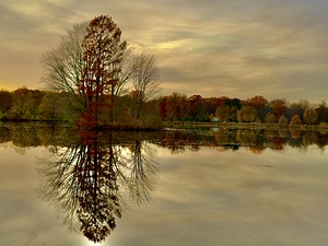 November Dusk