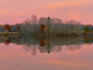 November Pink