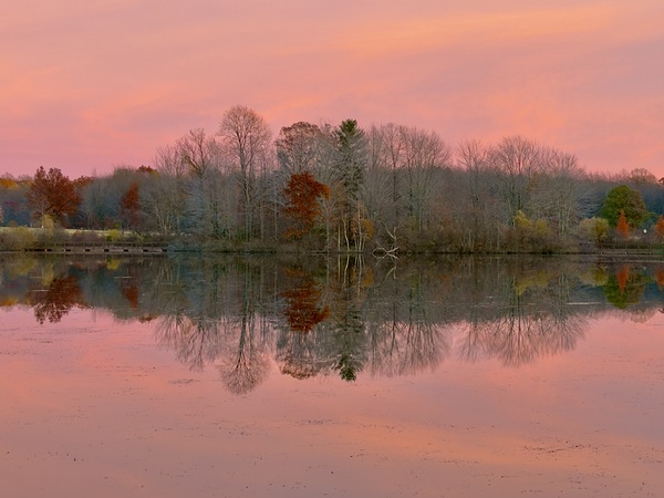 November Pink Print