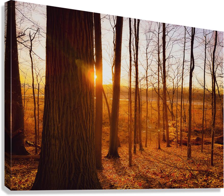 Daybreak Canvas Print
