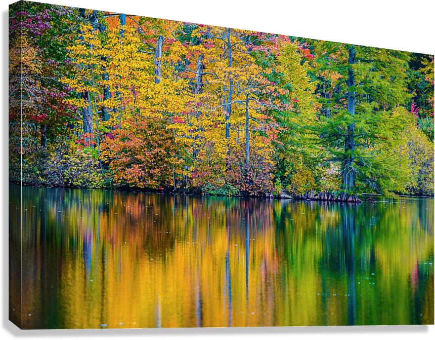 Fall Impressions Canvas Print
