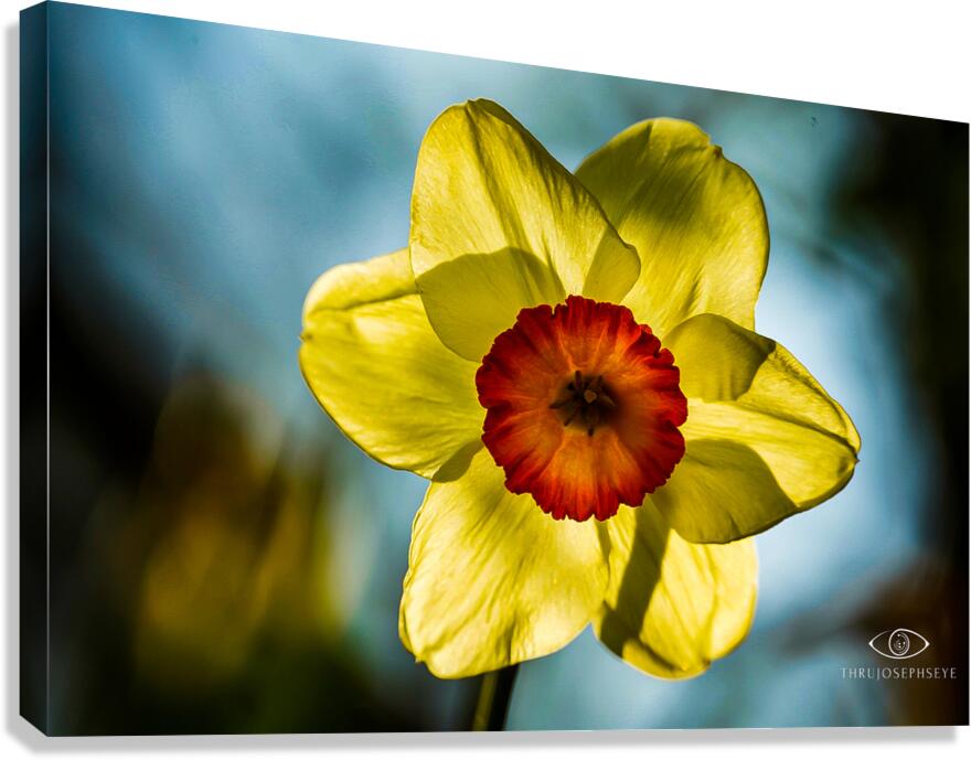 Spring Canvas Print