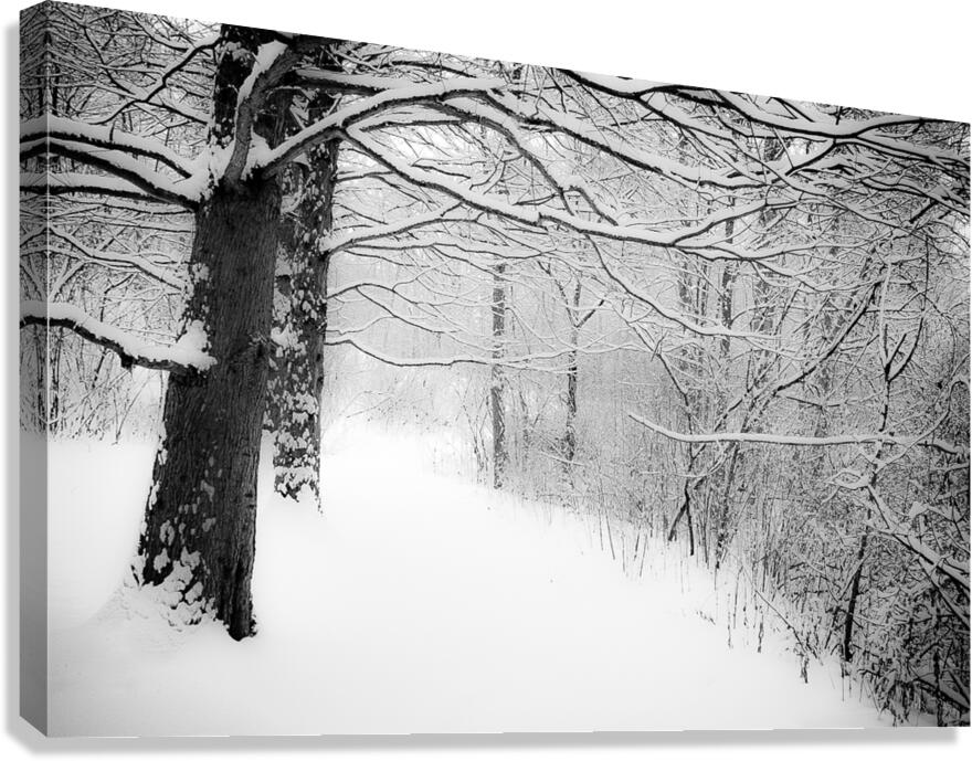 Dreaming Canvas Print