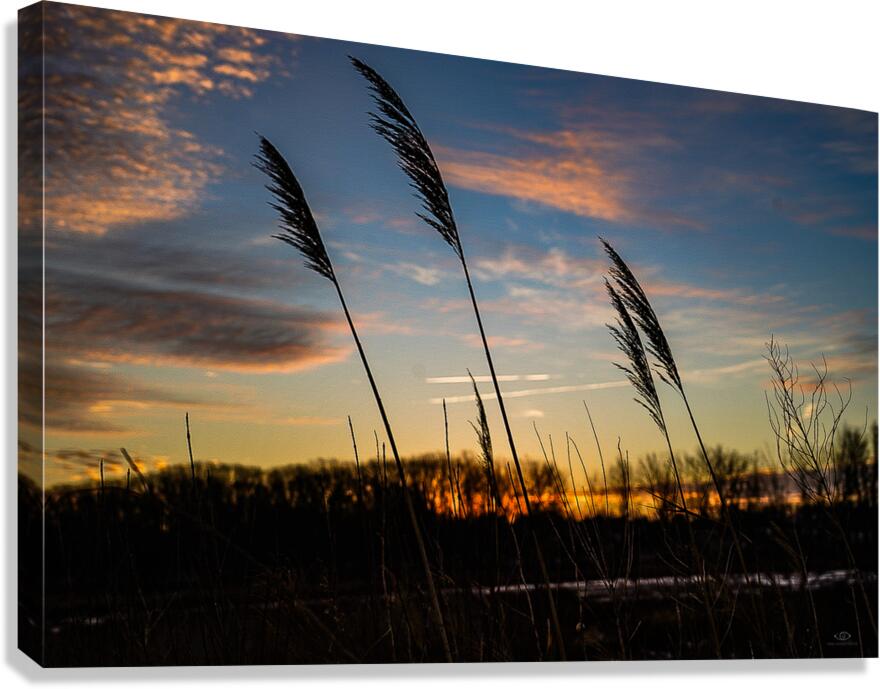 Four Friends Canvas Print