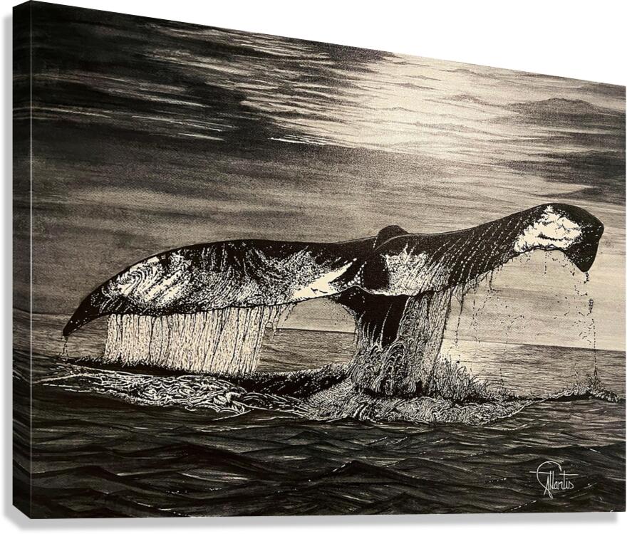 WHALE TAIL Canvas Print