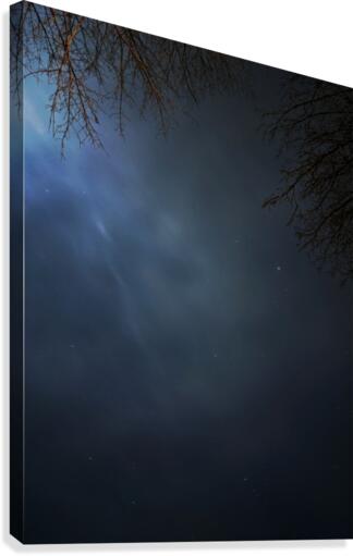 Night sky Canvas Print