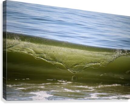Wave cresting Canvas Print
