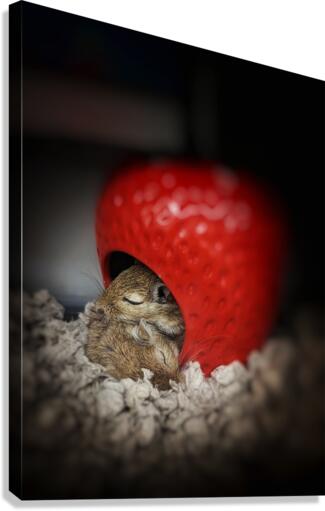 Togetherness Canvas Print