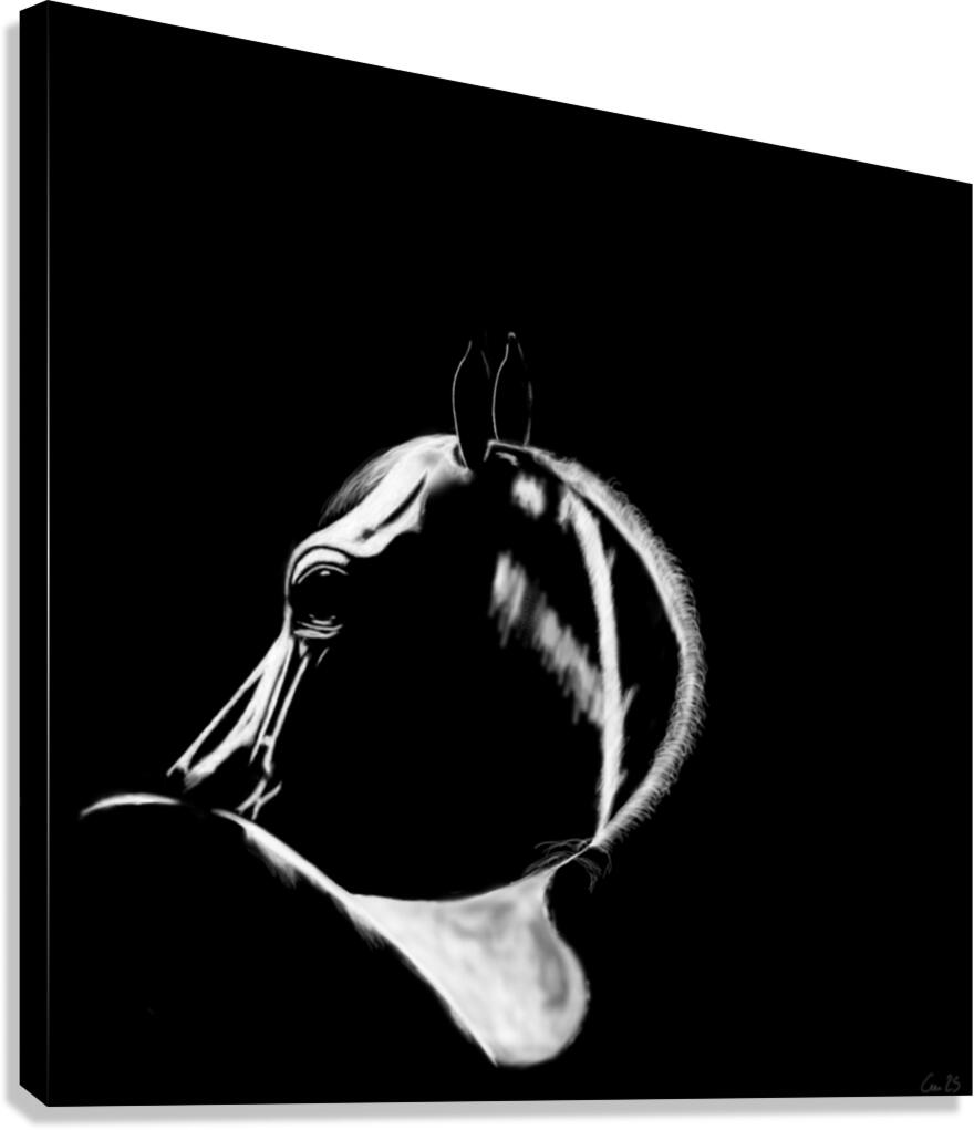 Cheval Canvas Print