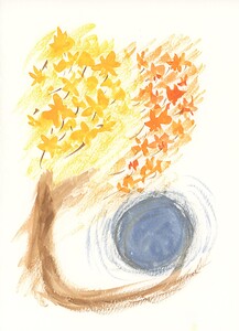Fall Tree Blue Sun