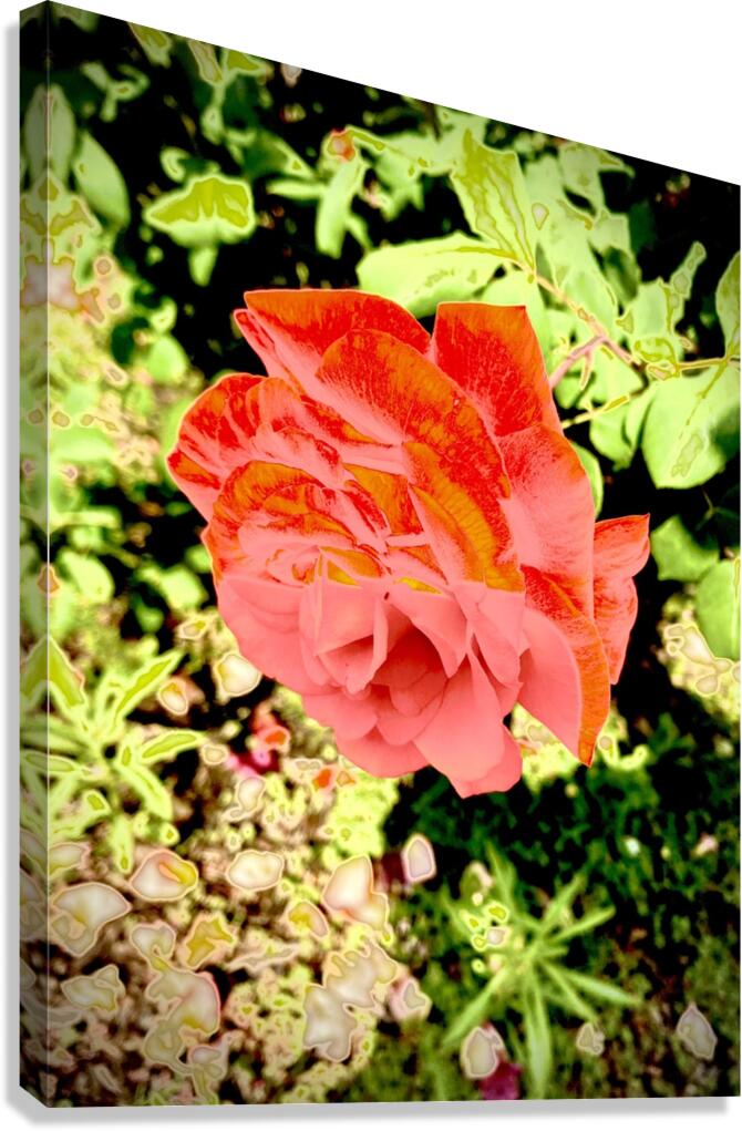 Pop Flower Canvas Print