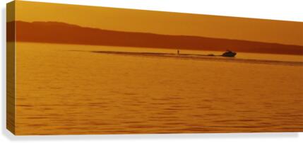 Sunset ski Canvas Print