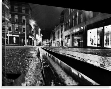 Black rail Canvas Print