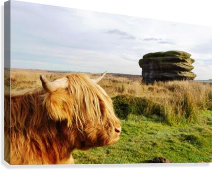Head to head Canvas Print