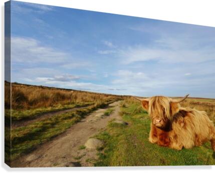 Path guard Canvas Print