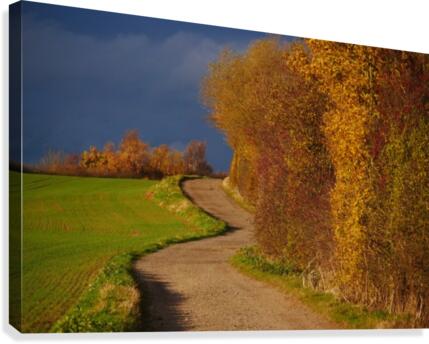 Autumn road Canvas Print