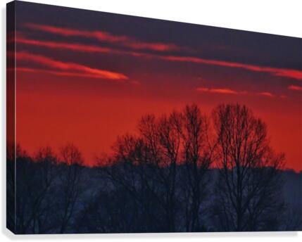 Winter Canvas Print