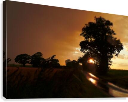 Wet sunset Canvas Print