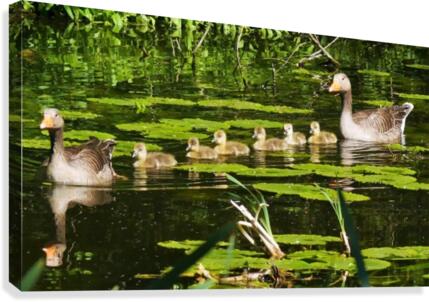 Keep inline Canvas Print