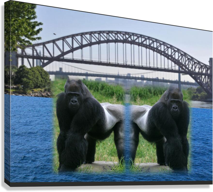 Patrick Quaker  1 Canvas Print