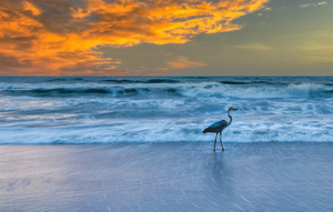  SOUTH PATRICK SHORES 