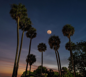 MOONRISE at LAKE WASHINGTON