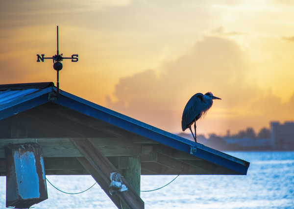 SUNSET at INDIAN RIVER LAGOON Print