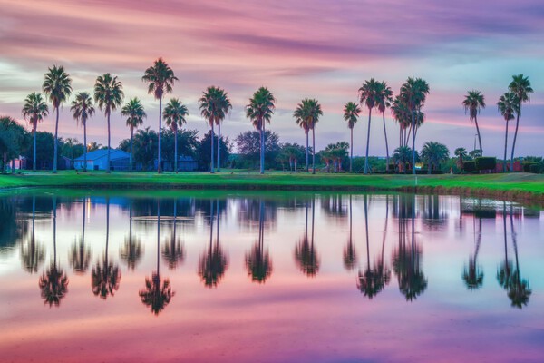 TROPICAL SUNRISE REFLECTIONS Print
