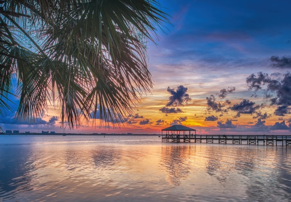   Melbourne Riverside Park Print