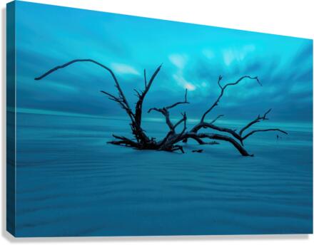 Jekyll Island Canvas Print