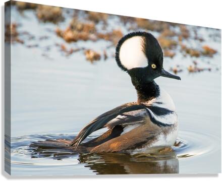 MERRIT ISLAND  Canvas Print