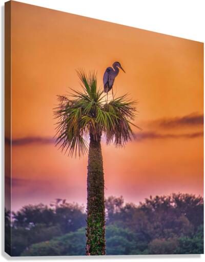 Sunset at Viera Wetlands Canvas Print