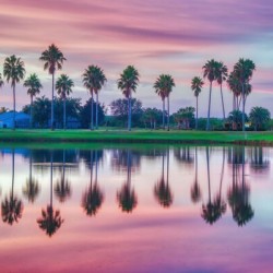 TROPICAL SUNRISE REFLECTIONS