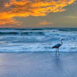  SOUTH PATRICK SHORES 