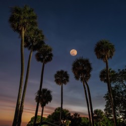 MOONRISE at LAKE WASHINGTON